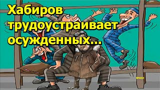 "Хабиров трудоустраивает осужденных..." "Открытая Политика". Выпуск - 632. 26.10.24