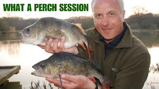 WHAT A PERCH SESSION!! at Framfield Fishery #perchfishing #perch #fishingtips #fishing