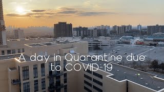 A day in Quarantine.... ||  COVID-2019