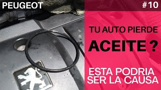 Si tu auto pierde aceite podría ser por esta causa | Peugeot 206