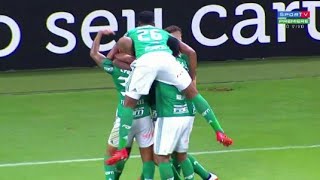 Gol DUDU-palmeiras 1x0 Botafogo campeonato brasileiro 2017 (27/11/2017)