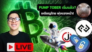 ตลาดคริปโตเขียวทั้งกระดาน UPTOBER ยังไม่จบ / เหรียญไทยพุ่ง หมูเด้งดัง แต่น่ากังวล