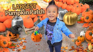 ACE'S FIRST TIME AT THE LARGEST PUMPKIN PATCH EVER! *CUTEST REACTION*