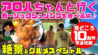 🌈絶景ハワイ！ずっと海沿いドライブ【45分リアルタイム観光ガイド+ハワイの知識】普通通らないルートでノースショアへ「人気No.1のジョバンニのガーリックシュリンプを食べる」検証ハワイやんバーガーズ