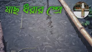 জীবনে অনেক টোপ ব্যবহার করছেন কিন্তু এই স্প্রে ব্যবহার করলে সারা জীবন মনে থাকবে