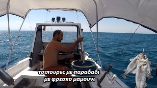 Τσιπουρες με Παραδαδι με Φρεσκο Μαμουνι