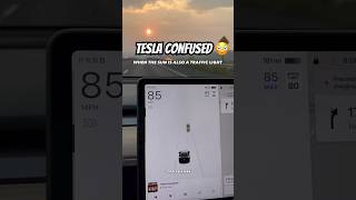 Tesla Gets the Sun Confused with Traffic Lights 😳 Did You See it?