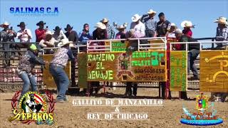 QUEDO PRIVADO  Ivancillo de Colima no pudo contra el toro espectacular El Dollar de Rancho El Aguaje