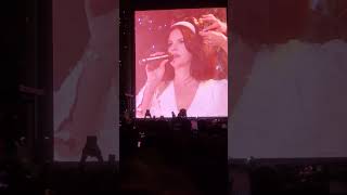 Lana Del Rey - Bartender Live @lollapalooza @LanaDelRey 8/6/23, Chicago IL