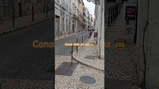 19 de junho de 2024 videos João da rua 🤠