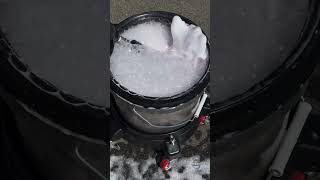 Preparing the wash bucket | ASMR #Shorts #Viral #Trending #ASMR #Satisfying #Clean #Detail #CarWash