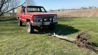 Chevy K20 Squarebody truck pulling down maple trees