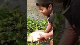 Fishing  #short #shortsbeta #shortvideo