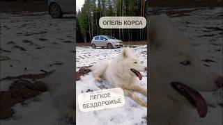 По высоковольтной на Опель корса #shots #automobile #топ