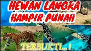 HEWAN LANGKA YANG HAMPIR PUNAH