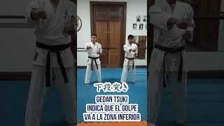 Tsuki en Karate #shorts