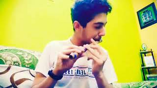 LEARN CHANNA MEREYA ON FLUTE