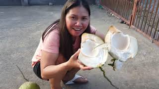 YOUNG COCONUT (BUKO):  PHILIPPINES VACATION