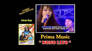 AlBuM live show PRIMA MUSIC ADEME ROGO "NONO LIYO" // OFFICIAL MUSIC VIDEO