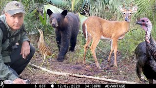 Browning Trail Camera Pickup