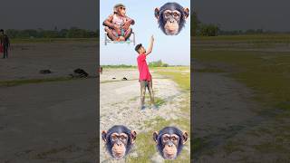 बंदर पजामा ले देखो कुत्ता आया फिर बिल्ली आई 🐒 cat dog funny VFX trending short viral