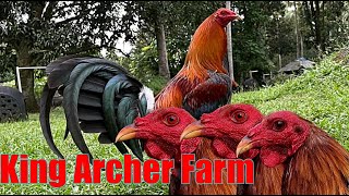 Lets Visit The Farm Of King Archer Gamefarm