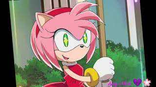 Amy Rose 🌸