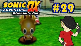 Let's Play Sonic Adventure DX - Episode 29