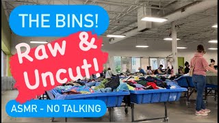 ASMR No Talking Voyer - Goodwill Bins Shopping Reality - What's it really like?