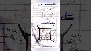 My students ll Biology diagrams ll The masters academy ll Biology ll testing series ll Anwaar