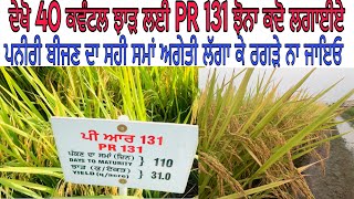 PR131 paddy variety | PR 131 ਝੋਨੇ ਦੀ ਪਨੀਰੀ ਬੀਜਣ ਦਾ ਸਹੀ ਸਮਾਂ ਅਗੇਤੀ ਲੱਗਾ ਕੇ ਰਗੜੇ ਨਾ ਜਾਇਓ