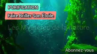 Faire Briller Ton Etoile Avec Cette Astuce De Purification