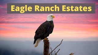 Are you wanting Luxury homes in  Eagle Ranch Estates in Fort Collins CO?