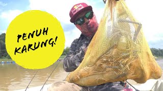 Henjutan Sang Jenggo Udang Galah ( Giant River Prawn Fishing GoPro )