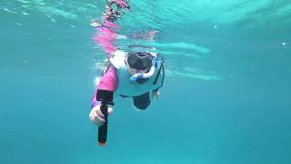 Aruba Snorkel Excursion w/ Red sail Aruba- Catalina Bay!!