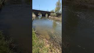 río Duero y pura vida feliz domingo a la peña 💪💪🎣🎣#nature #music #vida #top #paz y#rickyhombrelibre