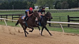 Peachy Promises (outside) and Breezing Up work their first 1/8th on 10/4.