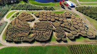 Treworgy Farms Award-Winning Corn Maze