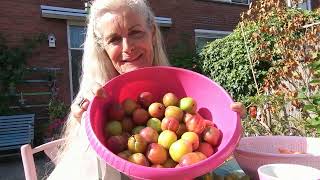 pot-luck; de dageluckse maaltijd voor jouw tempeltje