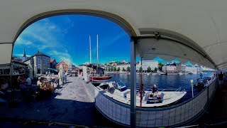 Pollen, Arendal-Qoocam 8k-360VR