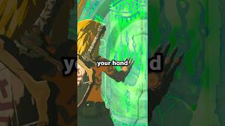 Zelda TotK Without BotW Bias (1)