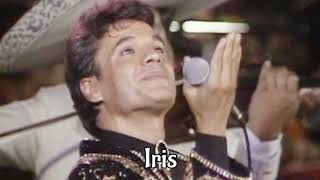 Juan Gabriel - La Muerte Del Palomo (Letra)