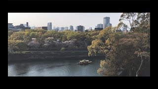 Japan travel video : Tokyo, Odawara, Hakone, Nara, Osaka, Kobe, Toyama, Nikko