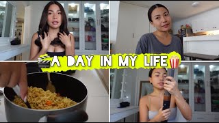 Q&A and LIFE Updates!! and Trying My Dyson AirWrap