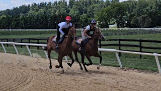 First week on the track for newly broken 22 Thunderous Gem, accompanied by Pick a Card, on 7/27.