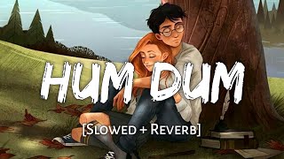 Hum Dum [Slowed + Reverb] - Ankit Tiwari | Shiddat Movie Song | Lofi Song | Danish Pwskr