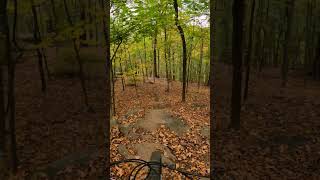 Graham Hills - Rock Rolls #shorts #mountainbike #mtb #downhillmtb #freeridemtb #mountainbiking