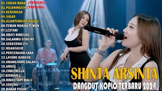 CIINAN BANA - Lagu Dangdut Koplo Terbaru 2024 - Shinta Arsinta Terbaru Full Album Trending 2024