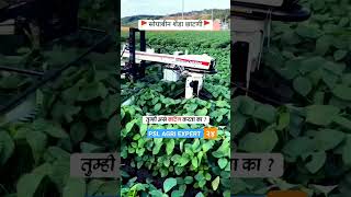 #soyabinkabhav #sheti #shetkariwhatsappstatus #reels#thar#shetkari #farmar #pune #pump#farming #stp