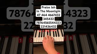 In The Moonlight // follow my instagram: jessnotes123 #piano #pianotutorial #pianomusic #ygmarley